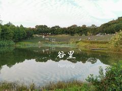 -大塘金香草谷