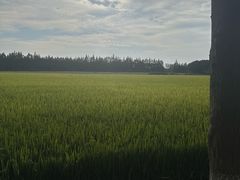 -嘉北郊野公园