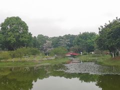 -东莞植物园