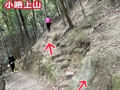 -南山植物园
