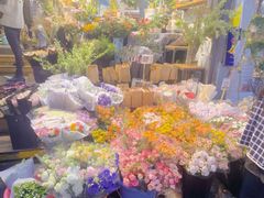 -循礼门鲜花花市(武汉循礼门店)