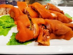 -金龙寨(龙城路店)
