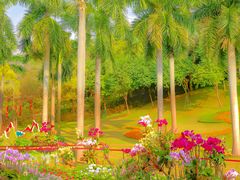 -广州市白云山风景名胜区