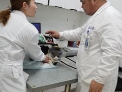 -萌兽医馆·绝育·24小时内科·宠物医院(德胜店)