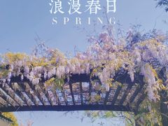 -梁鸿国家湿地公园