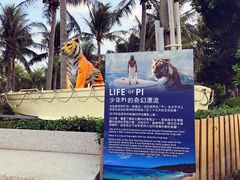 -白沙湾海滩