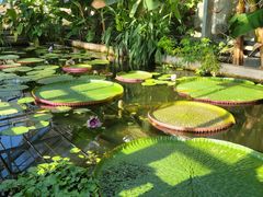 -国家植物园南园