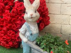 -华谊兄弟（长沙）电影小镇