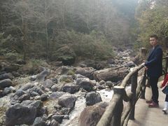 -花岩国家森林公园