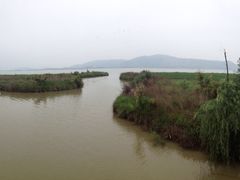 漩门湾国家湿地公园-漩门湾国家湿地公园