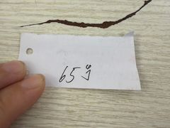 -小龙大肉面馆