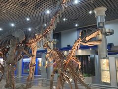 -国家自然博物馆