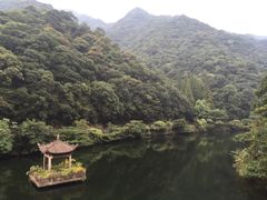 -宁海森林温泉