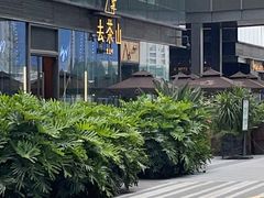 -去茶山(新光里店)