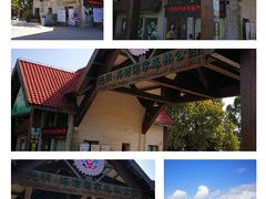 -上海海湾国家森林公园