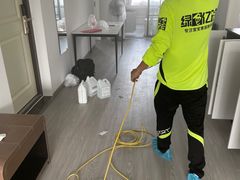 -绿色亿家除甲醛机构