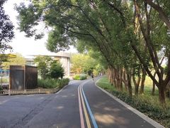 -同里国家湿地公园
