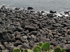 -硇洲岛旅游区