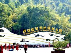 -西双版纳原始森林公园