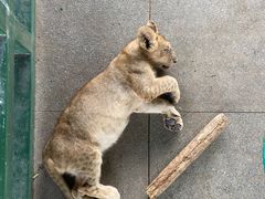-秦皇岛野生动物园