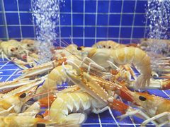 -欧记·龙城港(欣都店)