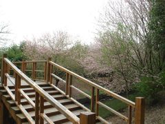 -同里国家湿地公园