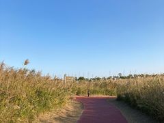 -春花秋色城市公园