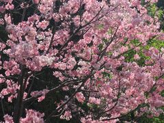 -乌山风景区