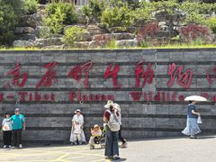 -青藏高原野生动物园