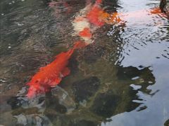 -前童古镇