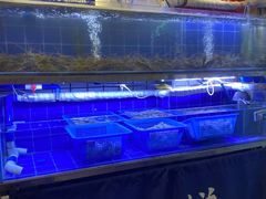 -星椰叻沙·椰浆鲜虾面(江南西店)
