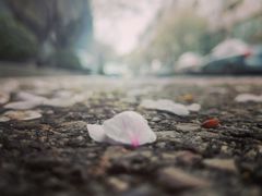 -南京工程学院(江宁校区)