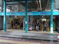 -中环4号渡轮码头