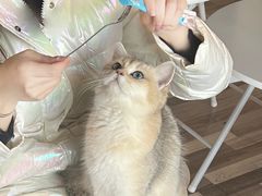 -奥斯卡升龙国际影城(RealD Cinema)