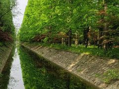 -东平国家森林公园