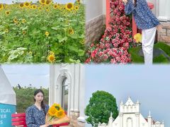 -杭州湾海上花田景区