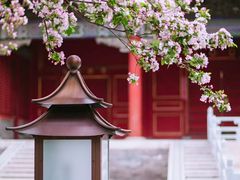 -故宫博物院(故宫)