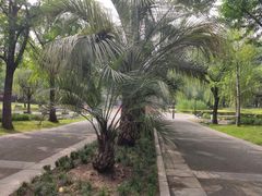 -苏州河梦清园环保主题公园