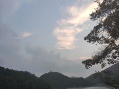 -广州市流溪河国家森林公园