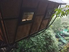 景点-天门沟九州驿站树上汤泉
