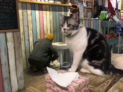 -小时光咖啡馆(开森度假森林店)