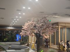 -东方之珠洗浴休闲广场(南开店)