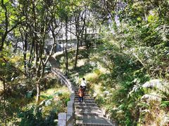 -广州市帽峰山景区