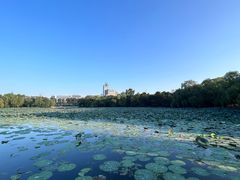 -长春市南湖公园