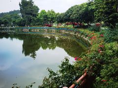 -大屏嶂森林公园