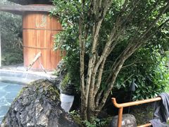 -和顺柏联温泉