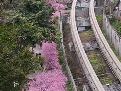-关岳庙