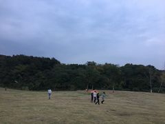 -羊山湖公园