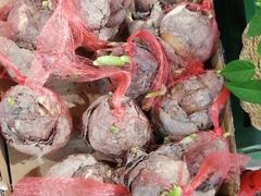 -三旗百汇商品城