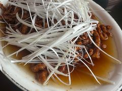 -双流老字号董蹄花(机场南四路店)